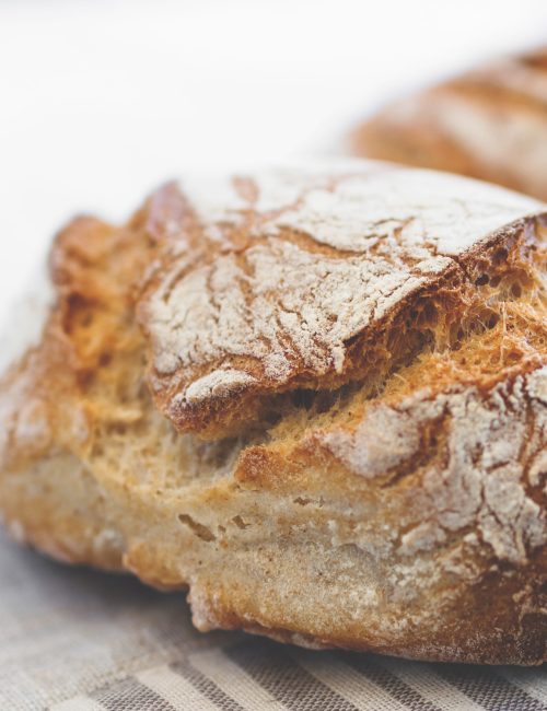Tasty loaf of bread on table cloth. Extreme close-up of rustic Italian bread. Shallow DOF.